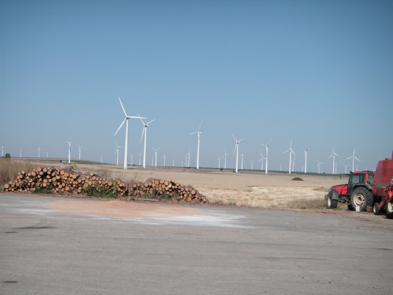 CAMPO BURGOS  FOTOS IMAGENES